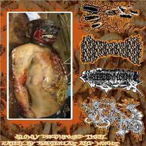 SxIxCxUxPxRxSxCxOxAxBxAxIxWx / Pulmonary Embolism / Vasoepididymostomy / Mx ...