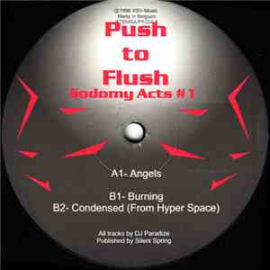 Push To Flush - Sodomy Acts #1