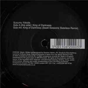 Susumu Yokota - King Of Darkness