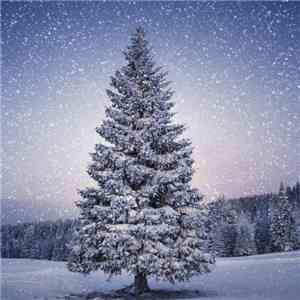 The Fabulous Playground Family - I'll Be Home For Christmas