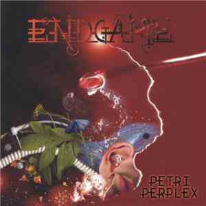 Endgame - Petri Perplex