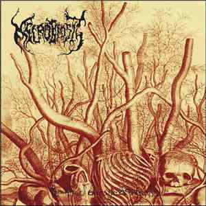 Necrobiosis - The Pile Of Decayed Entrails