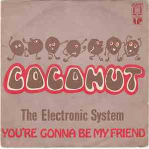 The Electronic System - Coconut