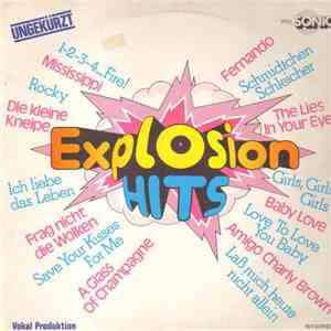 The Hiltonaires, Orchester Udo Reichel - Explosion Hits