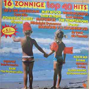 Various - 16 Zonnige Top 40 Hits