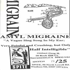 Amyl Migraine - A Vague Sing Song In My Ear; Very Painful And Crushing, But ...