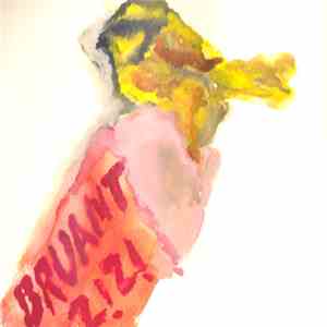 Bruant Zizi - Survol