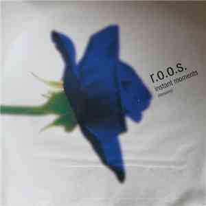 R.O.O.S. - Instant Moments (Remixes)