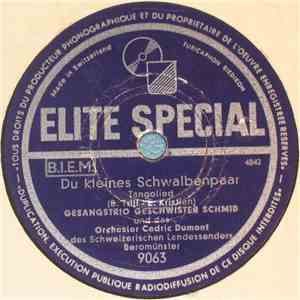 Gesangstrio Geschwister Schmid & Das Orchester Cedric Dumont - Du Kleines S ...
