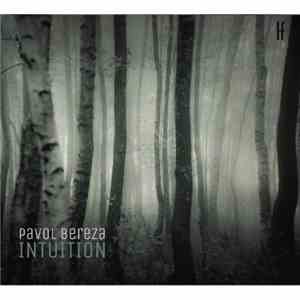 Pavol Bereza - Intuition