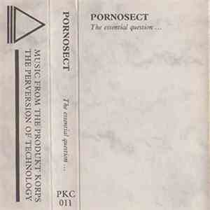 Pornosect - The Essential Question...