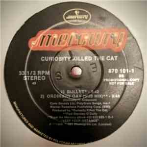 Curiosity Killed The Cat - Ordinary Day