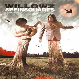 The Willowz - Seeinsquares - A DVD Collective
