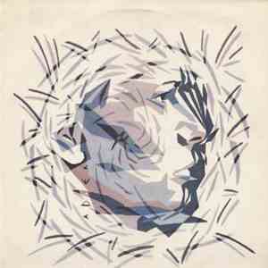 Michael Dee  - Portraits