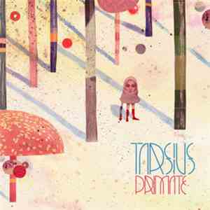 Tarsius - Primate