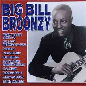 Big Bill Broonzy - Big Bill Broonzy