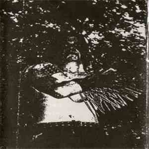 Grausamkeit - Angeldestruction