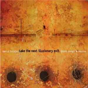 David Bridie - Take The Next Illusionary Exit