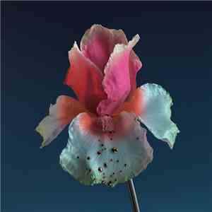 Flume - Tiny Cities / Take A Chance (Remixes)