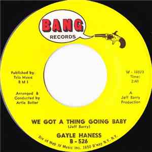 Gayle Haness - We Got A Thing Going Baby
