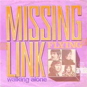 Missing Link  - Flying / Walking Alone