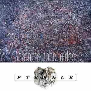 PTRKLLR - Anatoma Tobeyoides