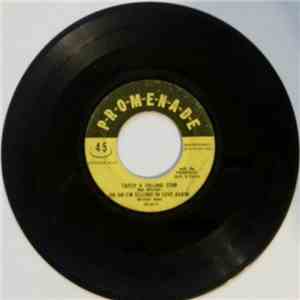 The Promenade Orchestra & Chorus - Catch A Falling Star