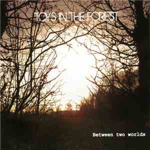 Toys In The Forest - Between Two Worlds