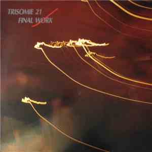 Trisomie 21 - Final Work