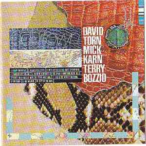 David Torn / Mick Karn / Terry Bozzio - Polytown