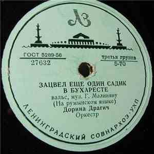 Дорина Драгич / Дорина Драгич и Ф. Дориан - Зацвел Еще Один Садик В Бухарес ...