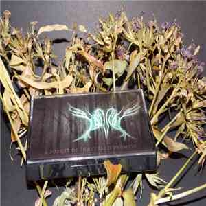 Dunnock - A Forest Of Shattered Promise