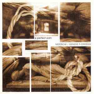 Merzbow / Genesis P-Orridge - A Perfect Pain