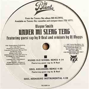 Wayne Smith - Under Mi Sleng Teng