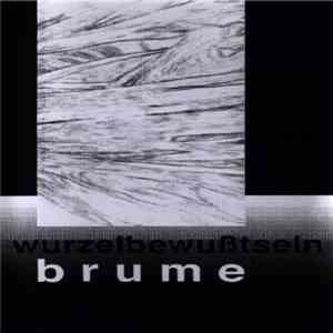 Brume / Wurzelbewußtsein - Le Trou Dans L'Eau / Traumbeisetzung