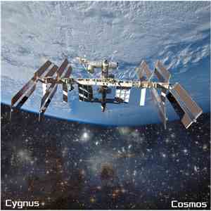 Cygnus - Cosmos