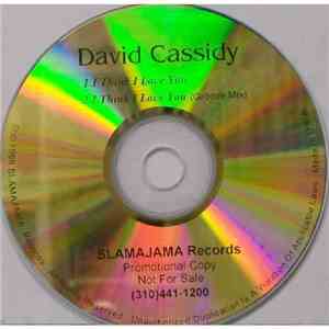 David Cassidy - I Think I Love You