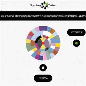 Stephen J. Kroos - A Multimodal Approach To Investigate The Hallucinating B ...