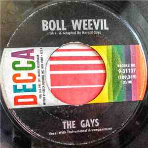 The Gays  - Boll Weevil