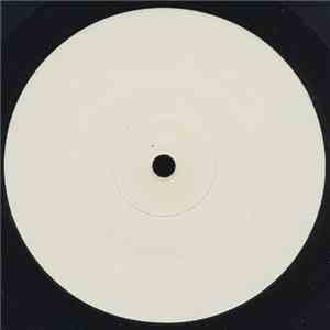 DJ Vibe Featuring Franklin Fuentes - I'll Take You