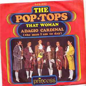 The Pop-Tops - That Woman