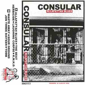 Consular - Allapattah Blues