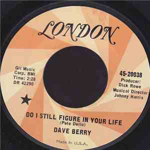 Dave Berry - (Do I Figure) In Your Life