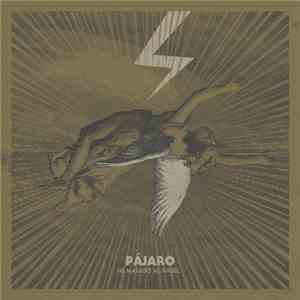 Pájaro  - He Matado Al Ángel
