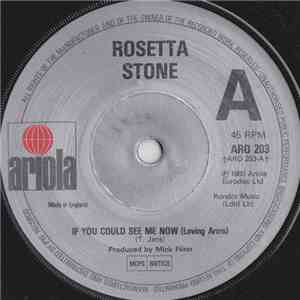 Rosetta Stone  - If You Could See Me Now (Loving Arms)
