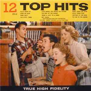 Don Raleigh & His Orchestra, Sandy Phillips, The Topovers - 12 Top Hits