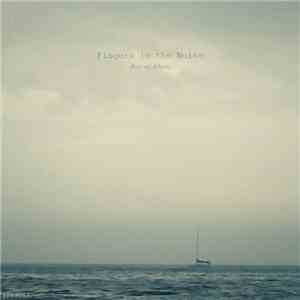 Fingers In The Noise - Best Of Album