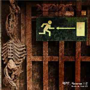 Ripit - Reverse 12