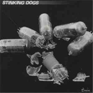 Stinking Dogs - Broke