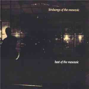 Birdsongs Of The Mesozoic - Beat Of The Mesozoic